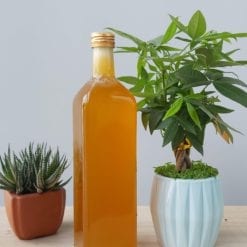 Mật ong Đất đỏ Nguyên chất