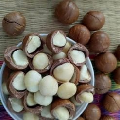 macadamia việt nam