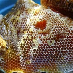 giá mật ong rừng nguyên chất