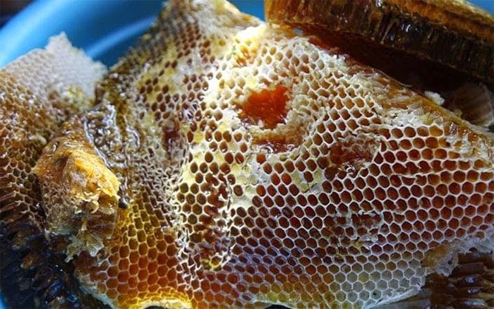 tác dụng của mật ong rừng nguyên chất
