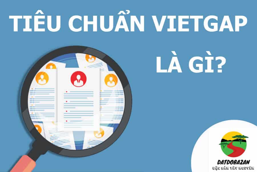 tiêu chuẩn VietGap là gì?