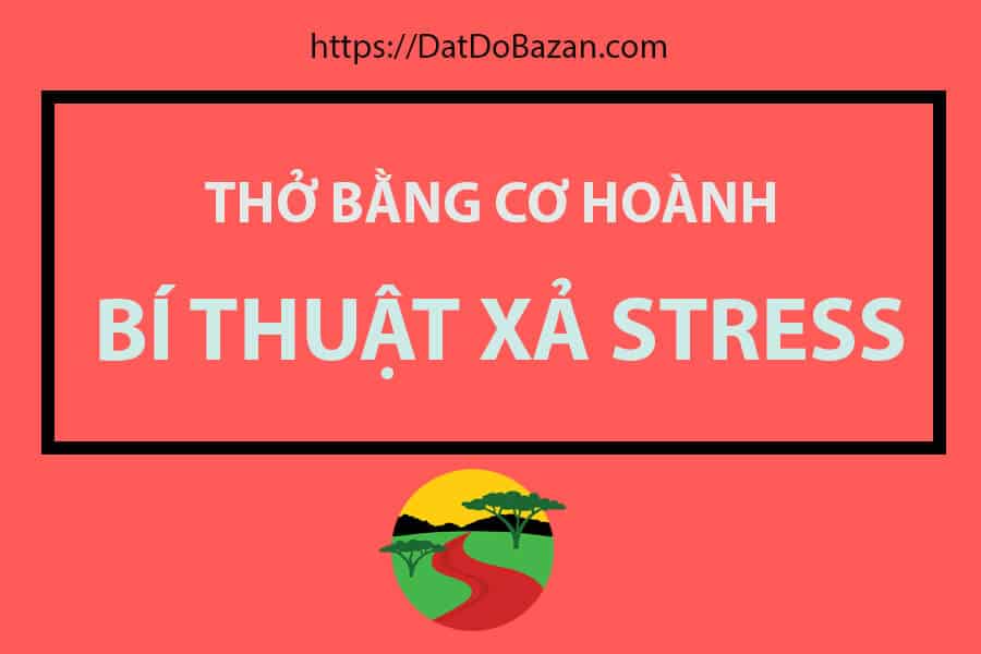 hít thở bằng cơ hoành