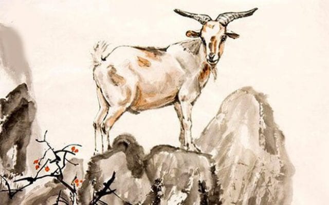 Tuổi mùi hợp với cây gì