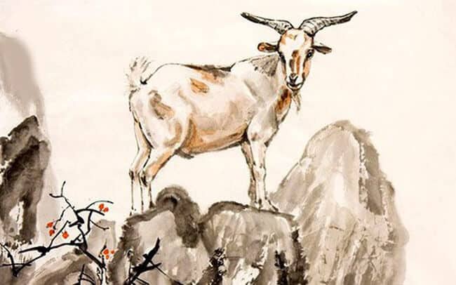 Tuổi mùi hợp với cây gì