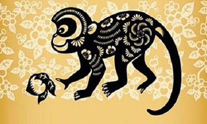 tuổi thân hợp với cây gì