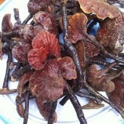 ai nên sử dụng nấm lim xanh