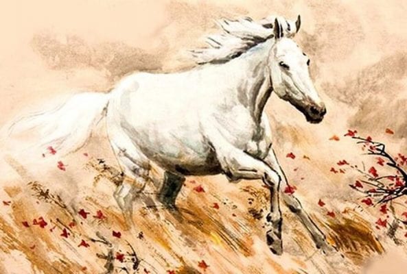 tuổi ngọ hợp với cây gì