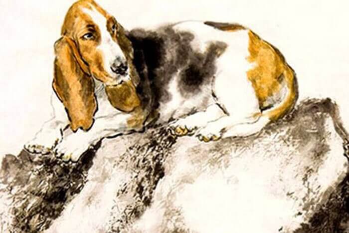 tuổi tuất hợp với cây gì