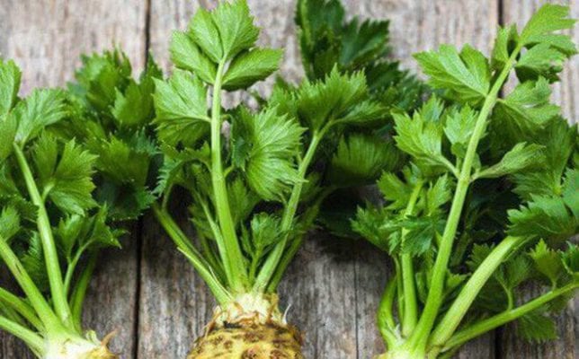 lợi ích của rau cần tây đối với sức khỏe