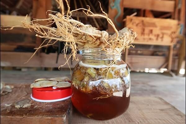 uống tam thất mật ong