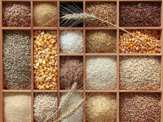 ngũ cốc nguyên hạt chất lượng