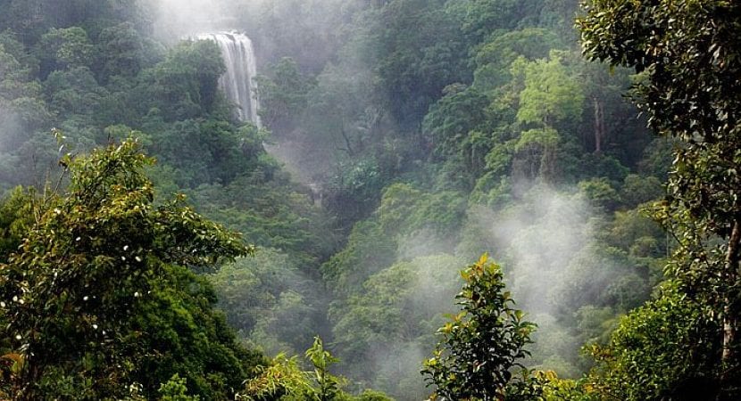 Giới thiệu về nguồn gốc sản phẩm Đất đỏ Bazan