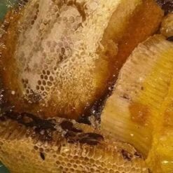 mật ong rừng nguyên tổ